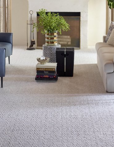 Living Room Pattern Carpet - CarpetsPlus COLORTILE of Winnsboro in Winnsboro, TX